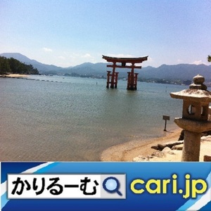 15_88k_torii200127w500x500.jpg