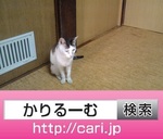 IMG_20160831_1653435.jpg