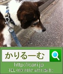inu-12-05-17-1207.jpg