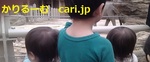 190809henshuu_twitter_w500.jpg