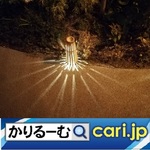106_light221013w500x500.jpg